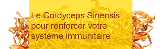 Complément Alimentaire Cordyceps Sinensis - VitalXtra - 1300mg - Immunité Et énergie