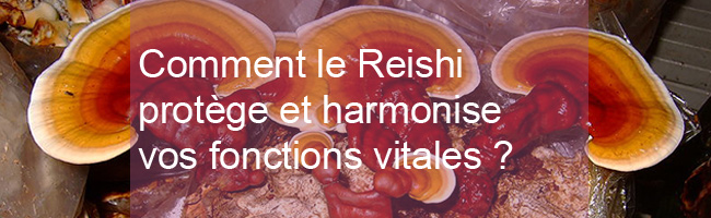 Quels sont les bienfaits du reishi contre le diabète